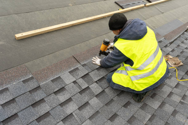 Best Asphalt Shingle Roofing  in Golden Glades, FL